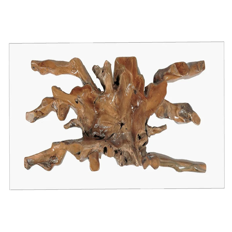 Teak root dining table